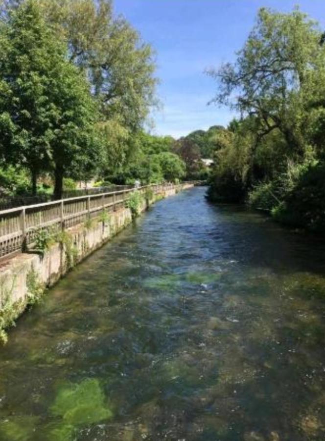הוילה ווינצ'סטר Millstream House מראה חיצוני תמונה